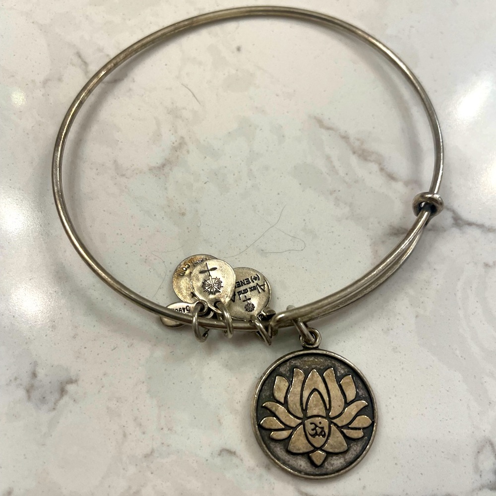 Vintage Alex and Ani Charm Bracelet